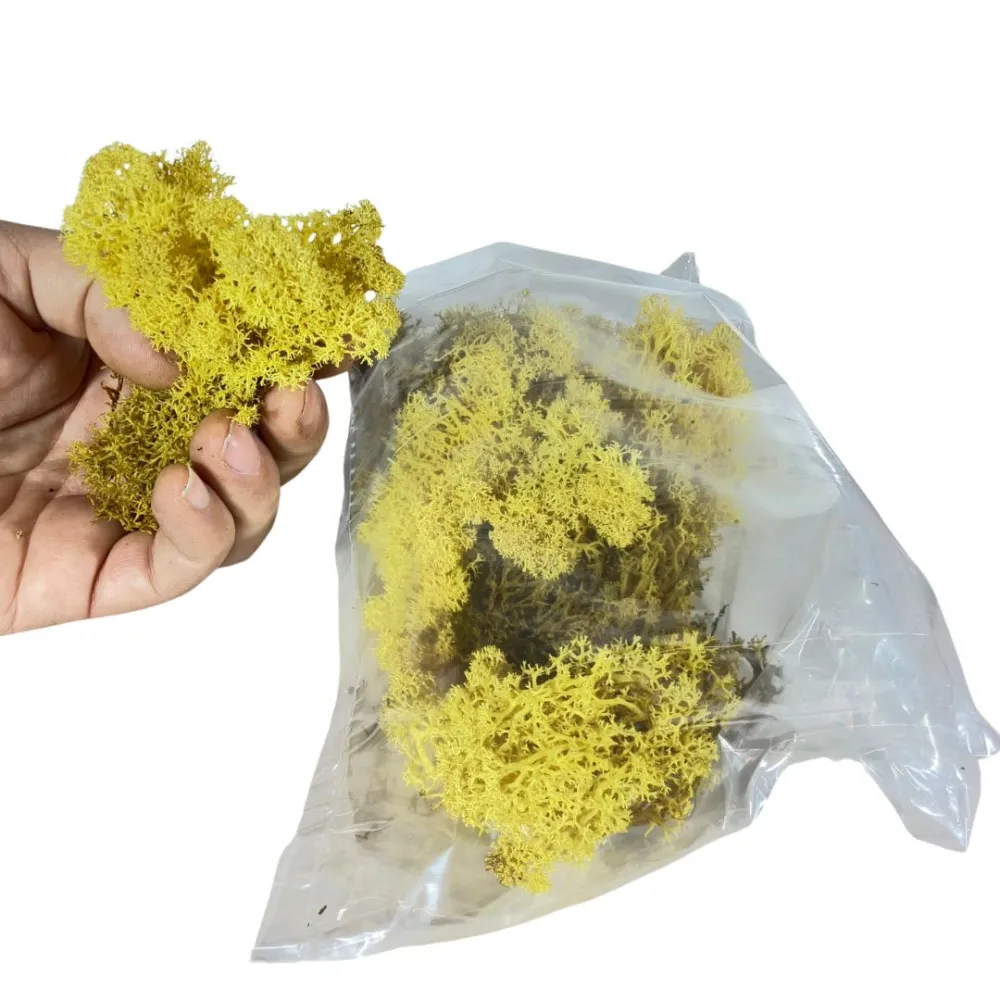Yellow lichen bag, 50 g