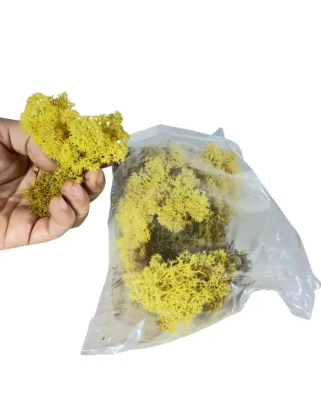 Yellow lichen bag, 50 g