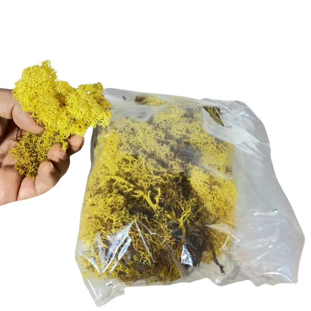 Yellow lichen bag, 100 g