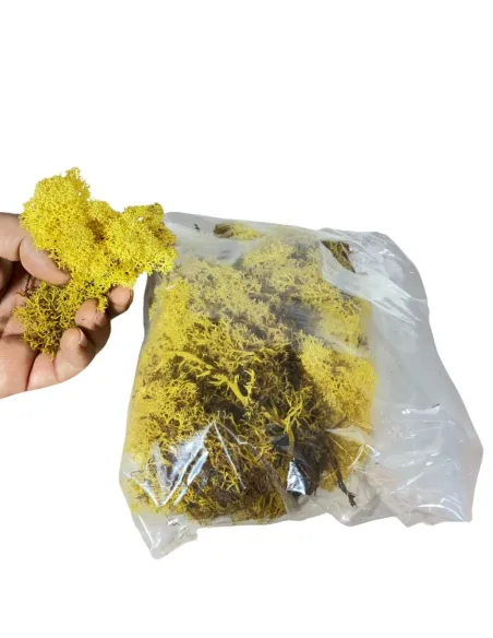 Busta lichene giallo 100g