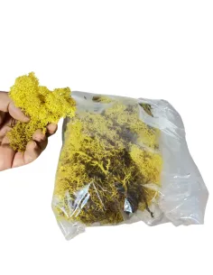 Busta lichene giallo 500g