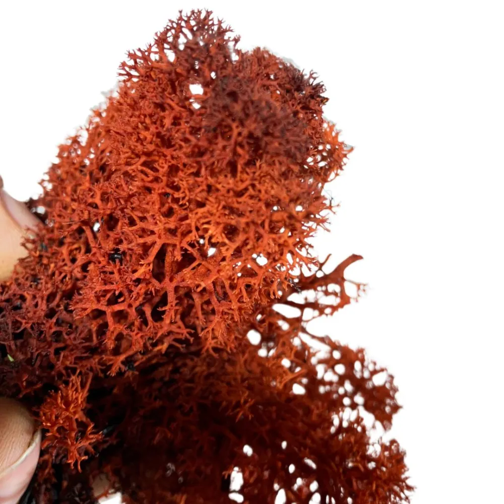 Red lichen bag, 500 g