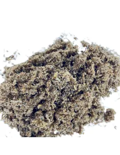 Busta effetto erba 60g 2