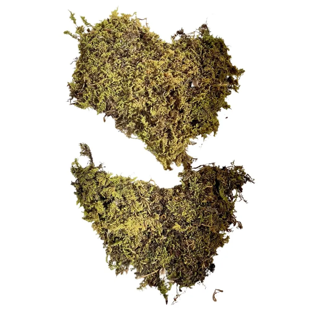 Sheet moss bag, 100 g