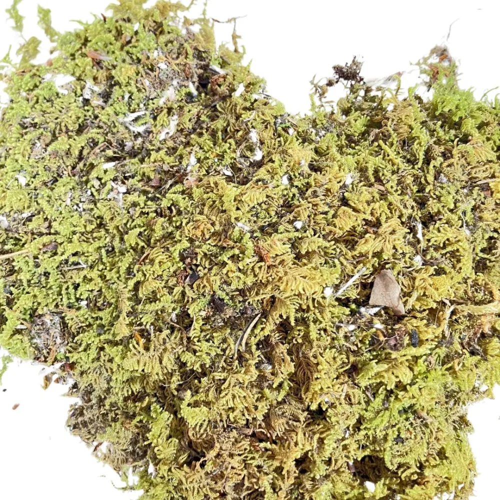 Sheet moss bag, 1 kg