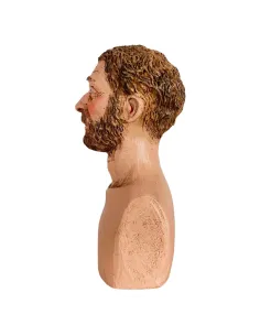 Bearded Man Head for 30 cm Nativity Figures 2