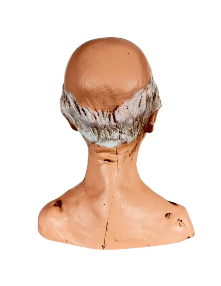 Volto anziano per 30 cm