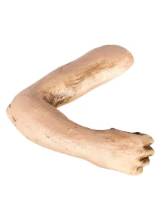 Braccio destro piegato pugno chiuso uomo per 30 cm