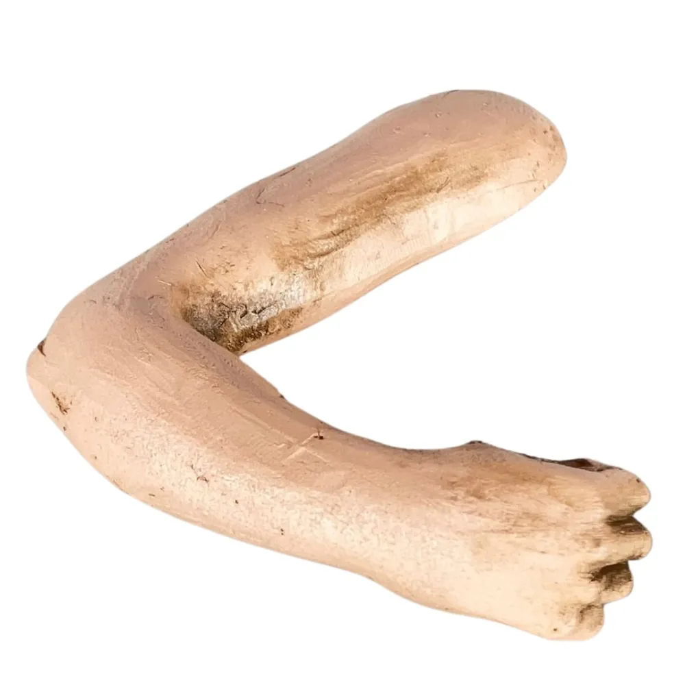 Braccio destro piegato pugno chiuso uomo per 30 cm