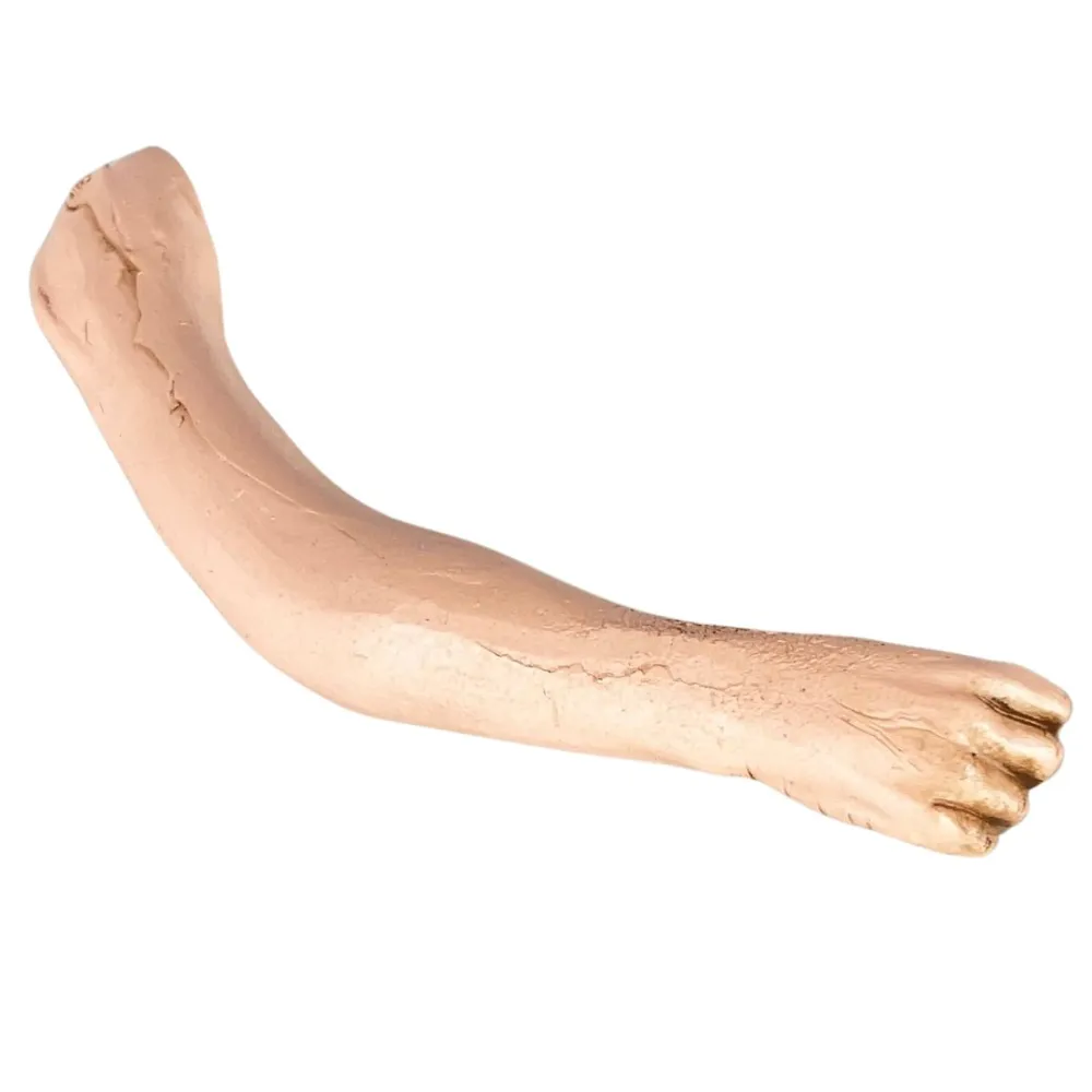 Braccio destro disteso pugno chiuso donna per 30 cm