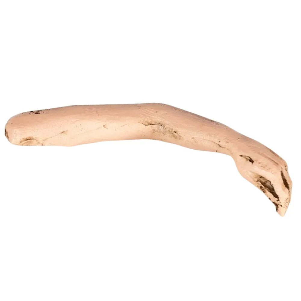 Braccio sinistro mano semiaperta donna per 30 cm