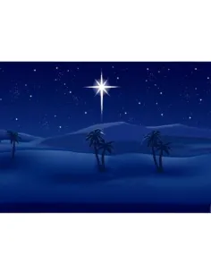 Night Sky Backdrop with Stars and Palm Trees - 100x70 cm