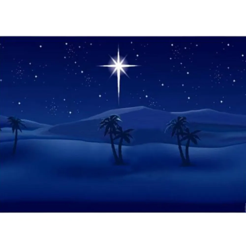 Night Sky Backdrop with Stars and Palm Trees - 100x70 cm