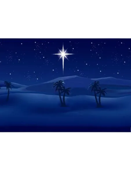 Night Sky Backdrop with Stars and Palm Trees - 100x70 cm