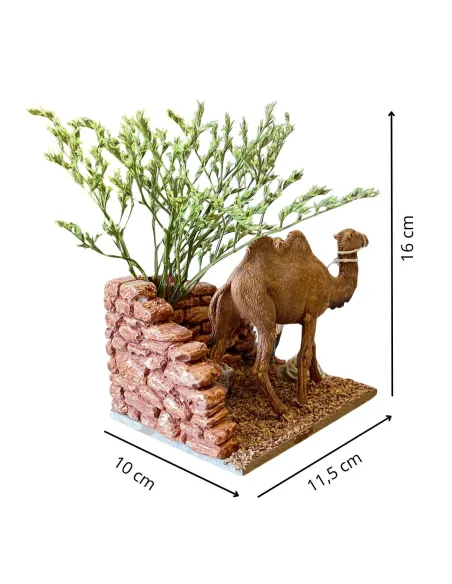Cammelliere con cammello Landi 10 cm