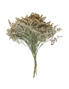 White erba tatarica bundle