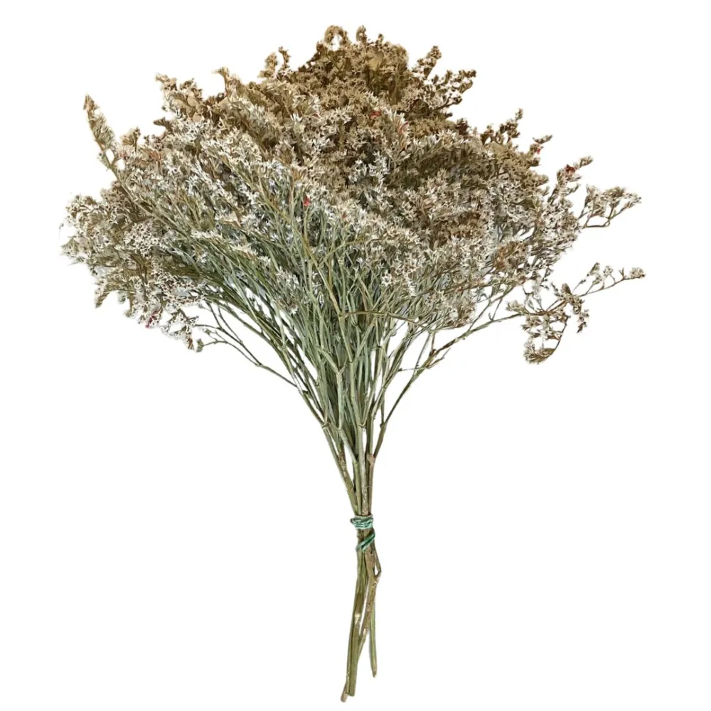 White erba tatarica bundle