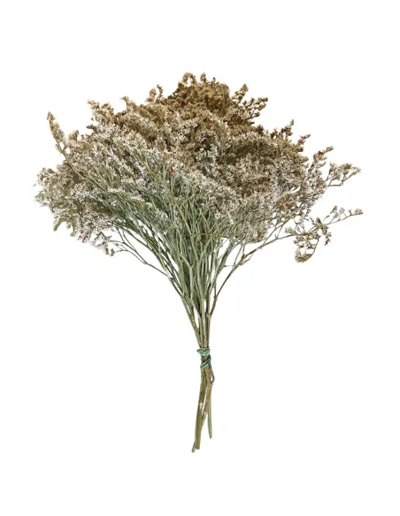 Mazzetto erba tatarica bianca