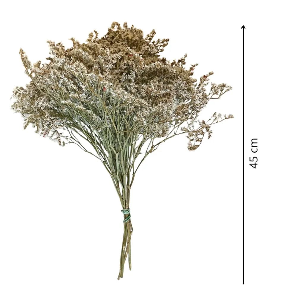 White erba tatarica bundle