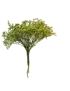 Mazzetto erba tatarica verde