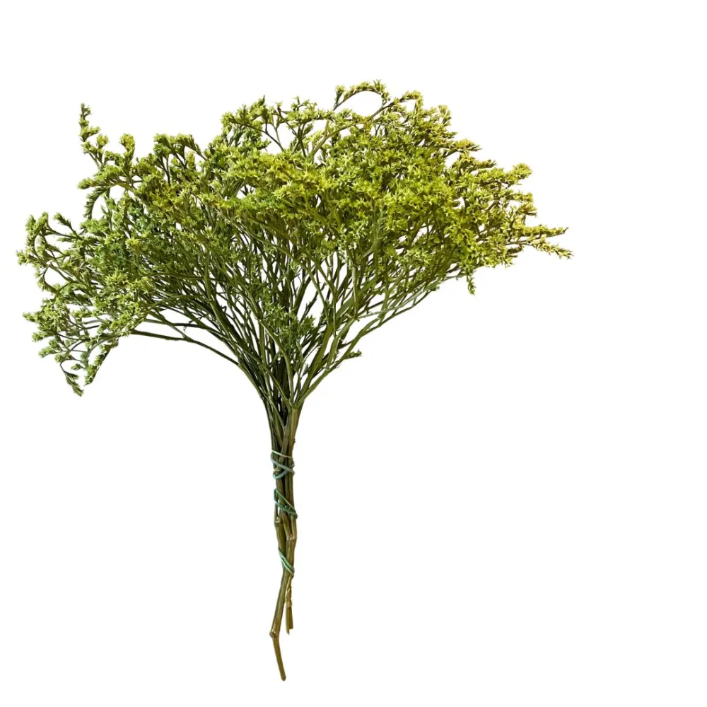 Green erba tatarica bundle