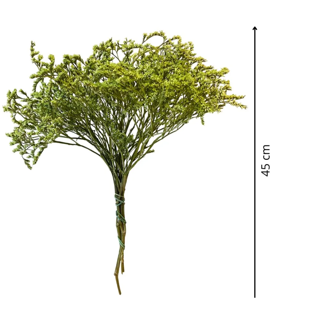 Green erba tatarica bundle