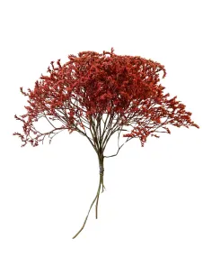 Mazzetto erba tatarica rossa