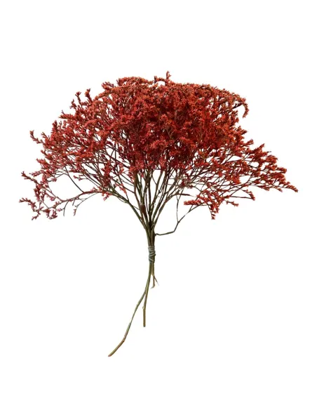 Mazzetto erba tatarica rossa