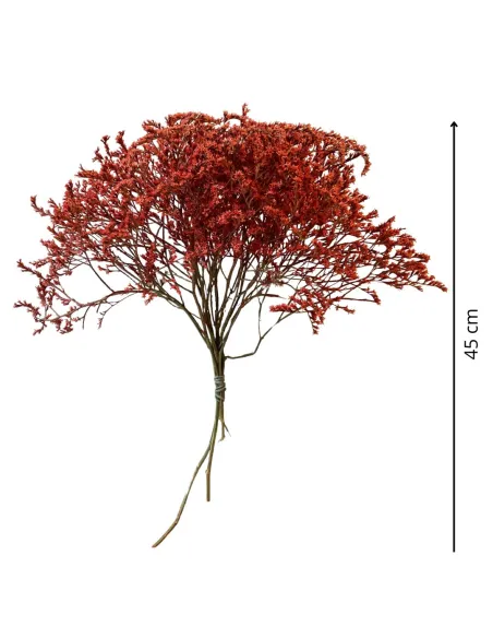 Mazzetto erba tatarica rossa