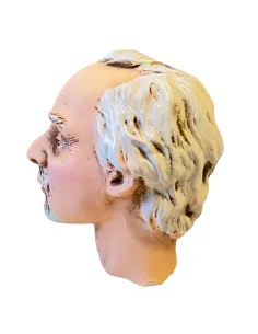 Volto uomo con pizzetto e capelli bianchi per 30 cm 2