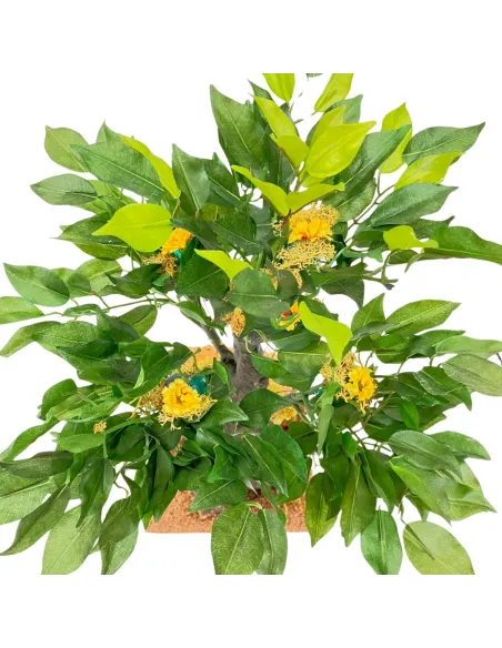 Pianta con fiori che sbocciano per statue da 25-30 cm