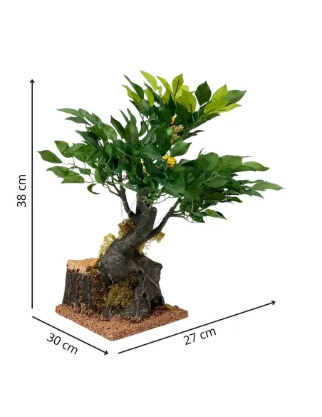 Pianta con fiori che sbocciano per statue da 25-30 cm