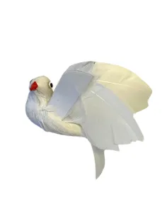 Colomba bianca con piume vere per statue da 25-30 cm