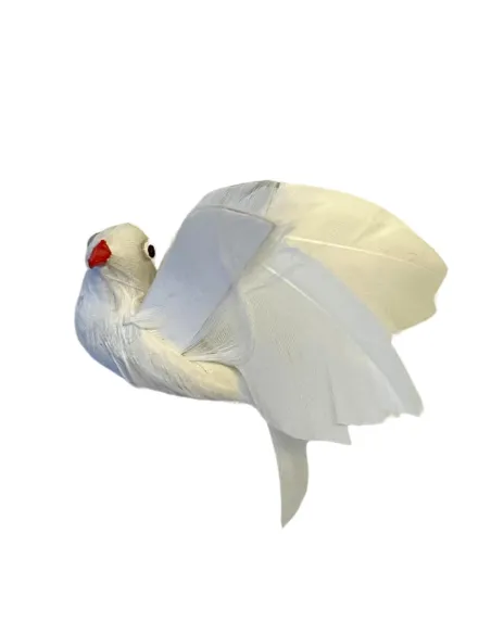 Colomba bianca con piume vere per statue da 25-30 cm