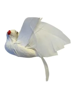 Colomba bianca con piume vere per statue da 25-30 cm 2