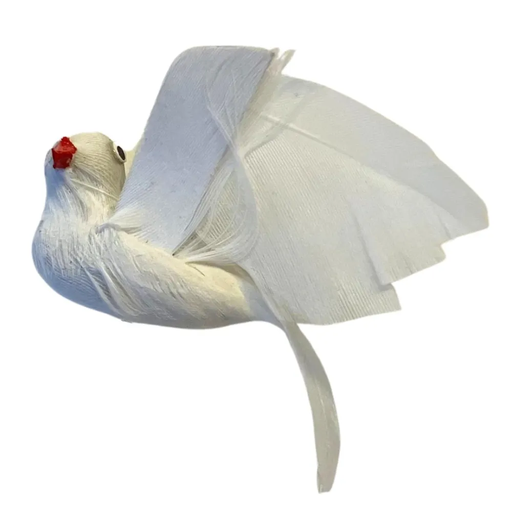 Colomba bianca con piume vere per statue da 25-30 cm
