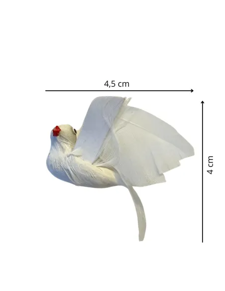 Colomba bianca con piume vere per statue da 25-30 cm