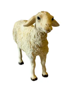 Pecora in resina testa alta per statue da 25-30 cm