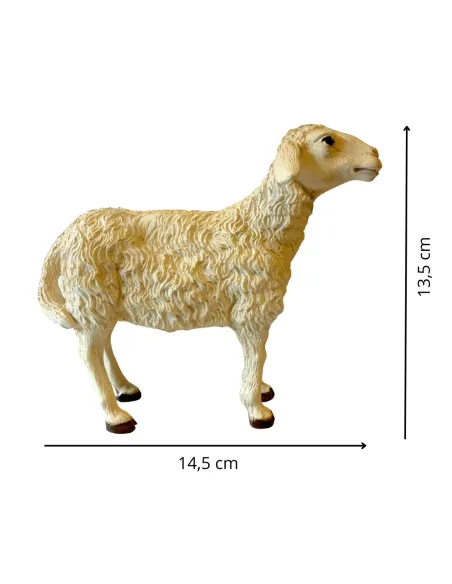 Pecora in resina testa alta per statue da 25-30 cm