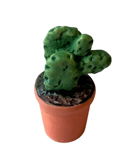 Vaso cactus colori e forme assortite per statue da 10-12 cm