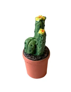 Cactus vase with assorted colors and shapes for 10–12 cm Nativity figures