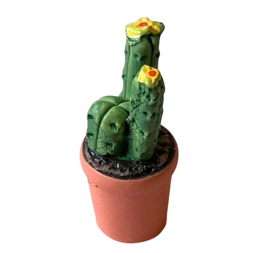 Cactus vase with assorted colors and shapes for 10–12 cm Nativity figures