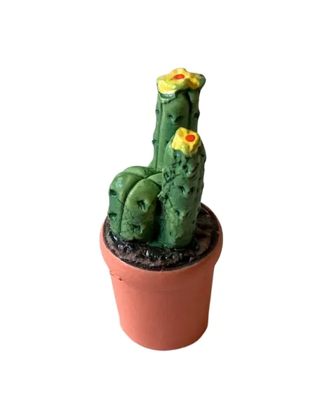 Vaso cactus colori e forme assortite per statue da 10-12 cm