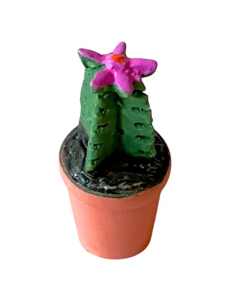 Vaso cactus colori e forme assortite per statue da 10-12 cm
