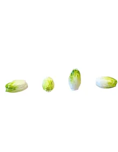 Set of Resin Romaine Lettuces for 20 cm Nativity Figures 2