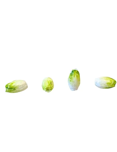 Set of Resin Romaine Lettuces for 20 cm Nativity Figures