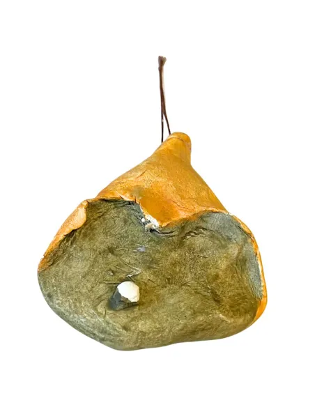 Aged Prosciutto for 30 cm Nativity Figures