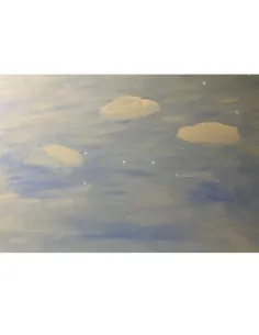 Cielo stellato con 30 fibre ottiche 120x80 cm 2