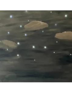 Cielo stellato con 30 fibre ottiche 80x80 cm