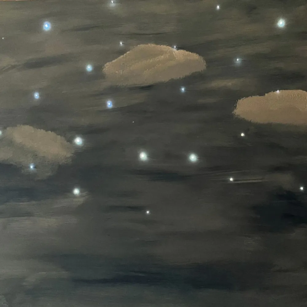 Cielo stellato con 30 fibre ottiche 80x80 cm